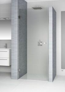 Душевая дверь в нишу Riho Scandic M101 70*200 L без поддона