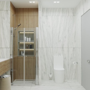 Душевая дверь Тритон  Дабл 90