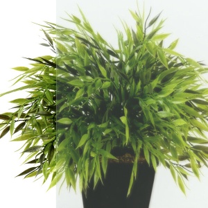 Душевое ограждение Triton Сигма-Хром 100*100*207 с поддоном Душевое ограждение Triton Сигма-Хром 100*100*207 с поддоном